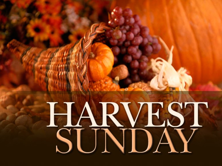 Harvest Sunday_0.jpg